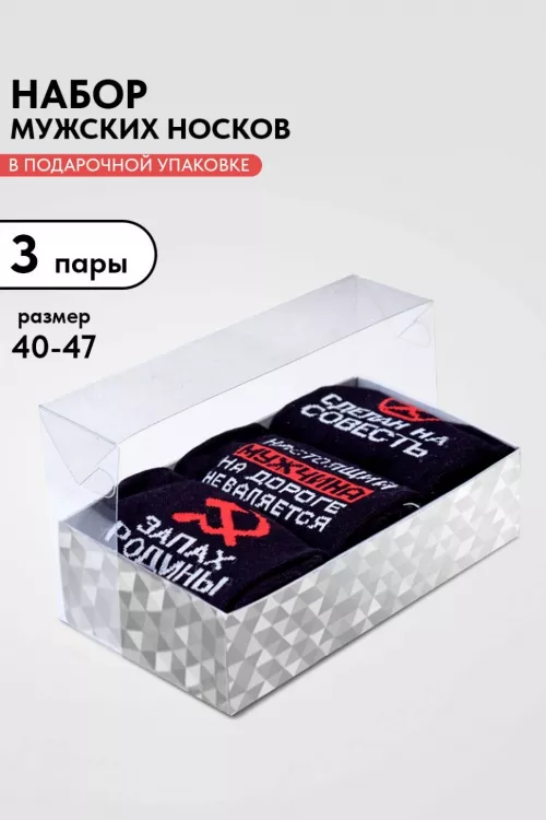 Носки мужские Родина 3 пары последний размер