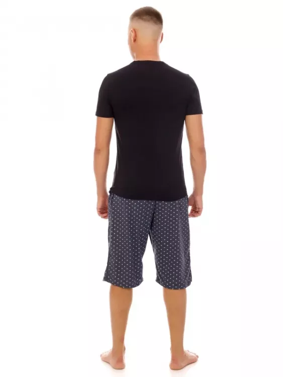 Шорты мужские Ш-3-ЗС