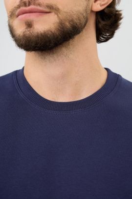 Толстовка мужская Бронд С Арт. 10062