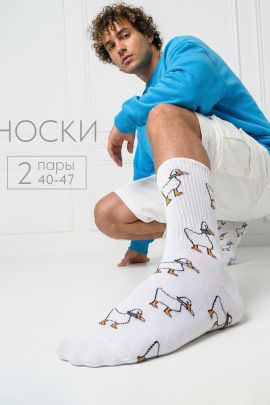 Носки мужские Гуси (набор 2 пары)
